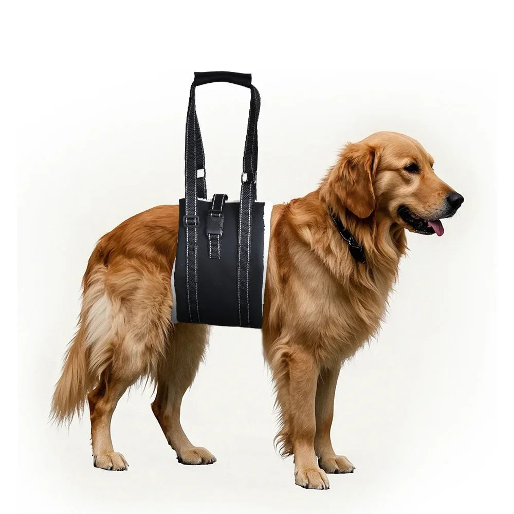 Adjustable Dog Lift Harness Sling for Back Legs Support Essential Rehab Aid Tool for Elderly Dogs with Weak Rear Legs Mobility