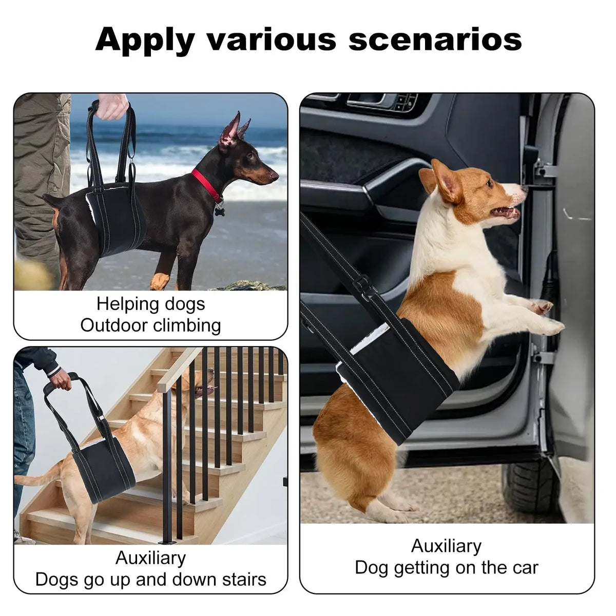 Adjustable Dog Lift Harness Sling for Back Legs Support Essential Rehab Aid Tool for Elderly Dogs with Weak Rear Legs Mobility
