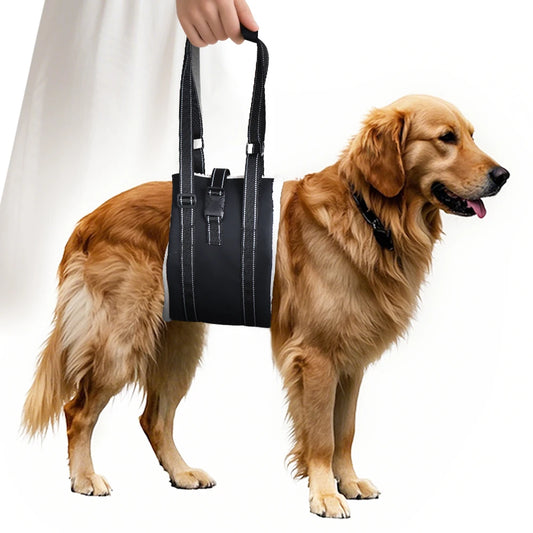 Adjustable Dog Lift Harness Sling for Back Legs Support Essential Rehab Aid Tool for Elderly Dogs with Weak Rear Legs Mobility